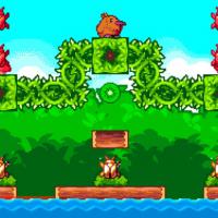  Super Kiwi Adventure - 2021